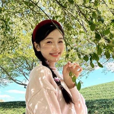 十三个原因第二季